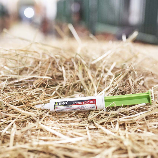 Adeno Booster