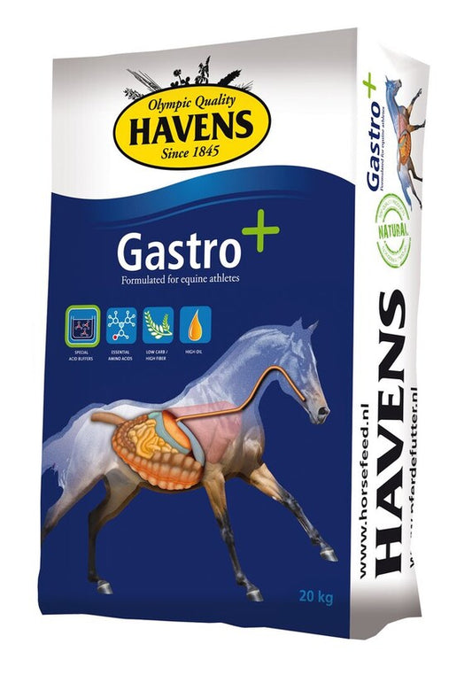 HAVENS Gastro+